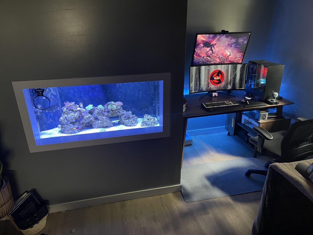 Need help for what’s next