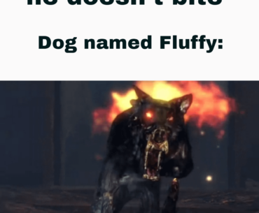 I decided to put a twist to the "Pitbull named cupcake" meme. Hope yall like my first meme