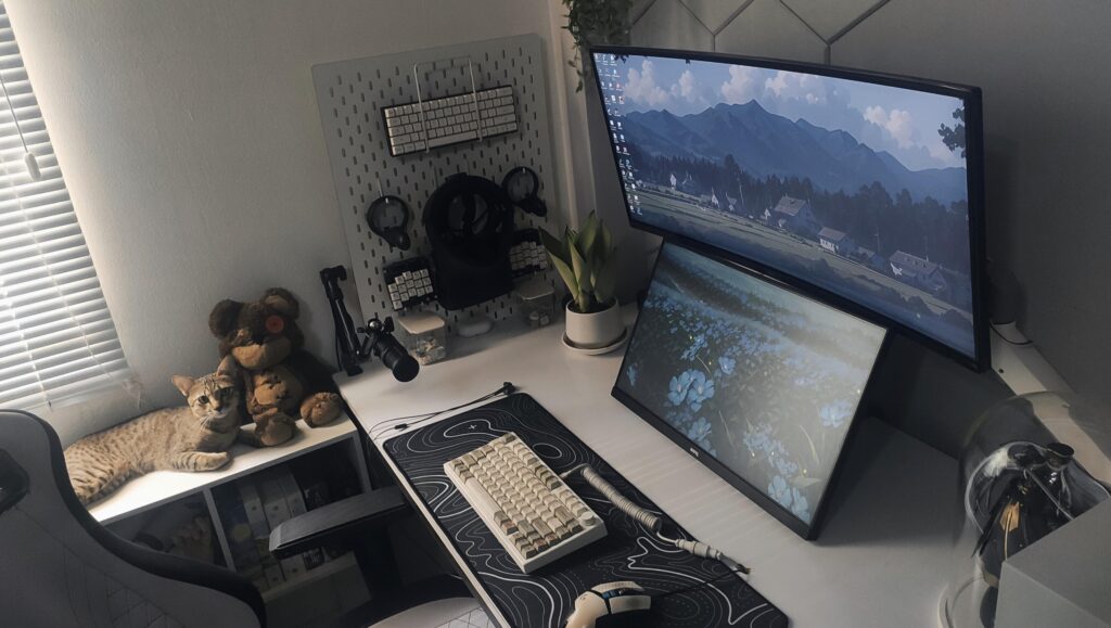 Final setup. Any suggestions?