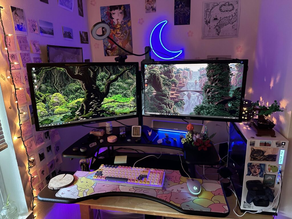 Just got my standing desk converter set up!
