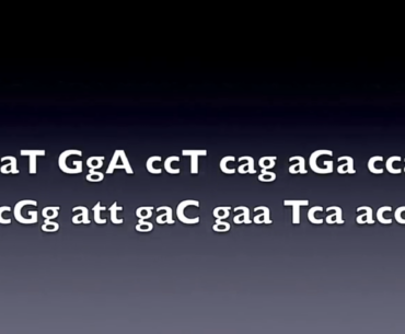 Is there any meaning to these letters