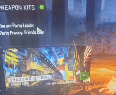 Me and my friend did the Shadows of Evil Easter egg two players