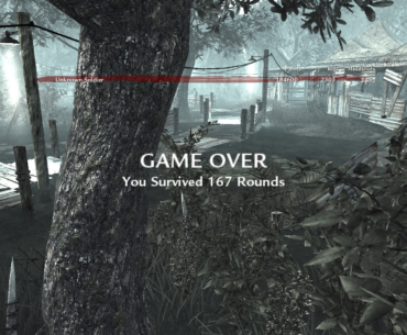 Got my highest round today on WAW. Going for round 1000 just gotta keep grinding.