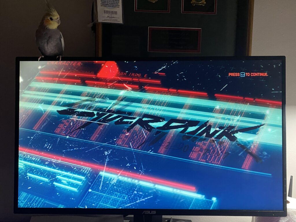 My new Cyberpunk buddy!