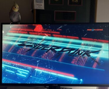My new Cyberpunk buddy!