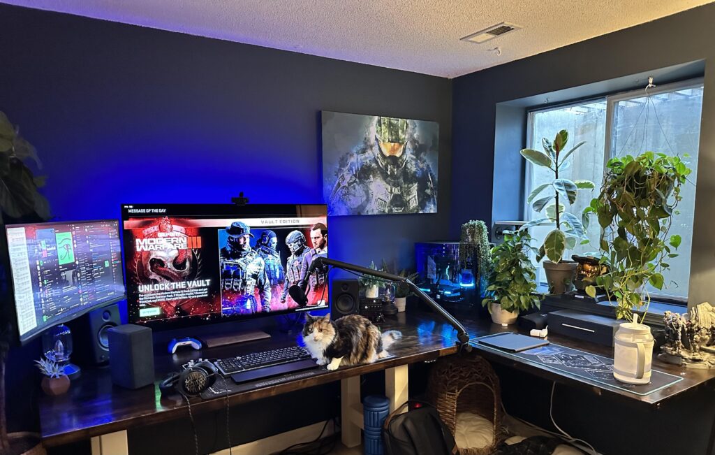 Plants, PCs and Kitties