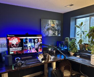 Plants, PCs and Kitties