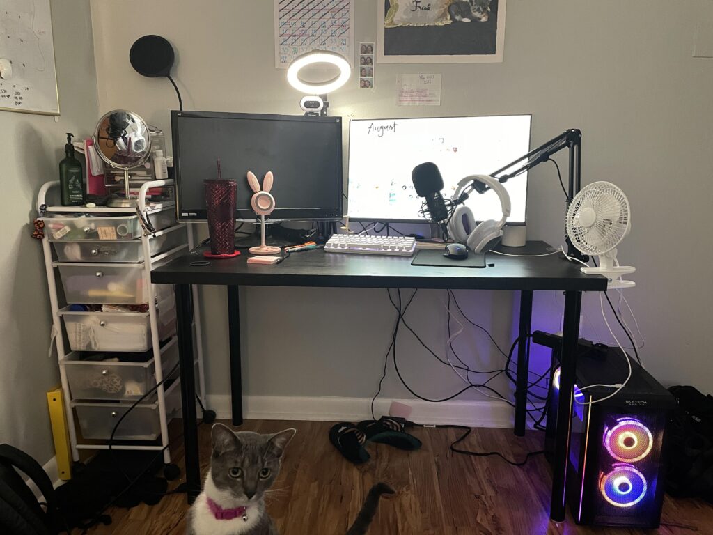 Tips for cord management?