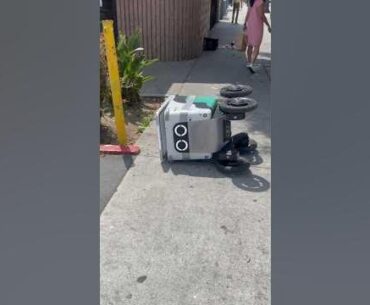 DELIVERY ROBOT LOOTED: Austin Got Robbed.