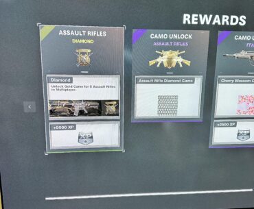 After months of grinding, frustration and nonstop multiplayer. I finally got the diamond camo.