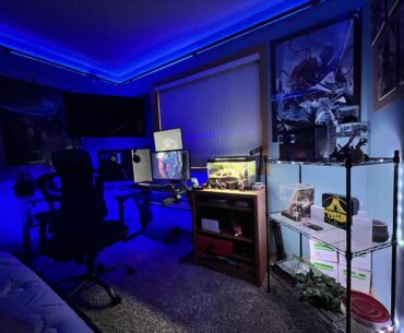 Setup with tarantula enclosures to the side