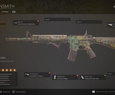 Valid loadout for the final days of Warzone 1?