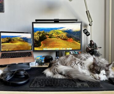 Magic mouse, keyboard and cat