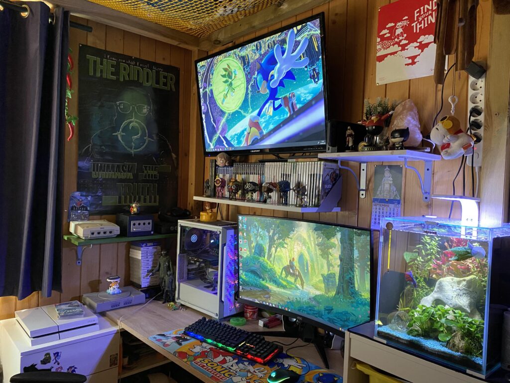 setup, my fish Gumball included