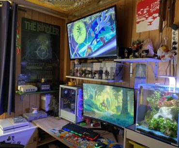 setup, my fish Gumball included