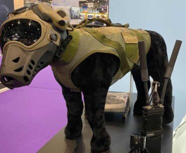 This Dog Armor seemed pretty cyberpunk.