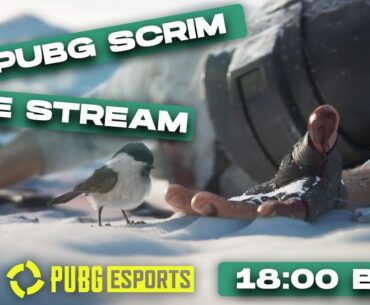 Another Day, another stacked scrim.