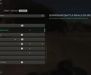 Ping Issue Help (PC)