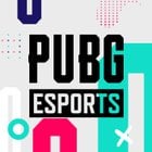 Official PUBG Esports online merch store announced