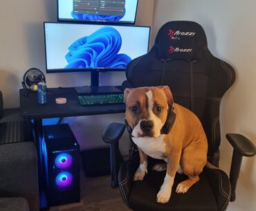 Boris likes his new gaming-rig