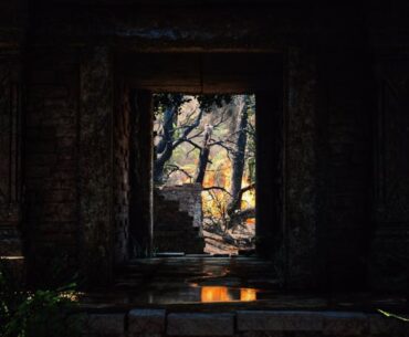 Frame Stills From Jungle