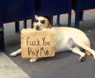 COD ignoring bugs and dropping skins be like