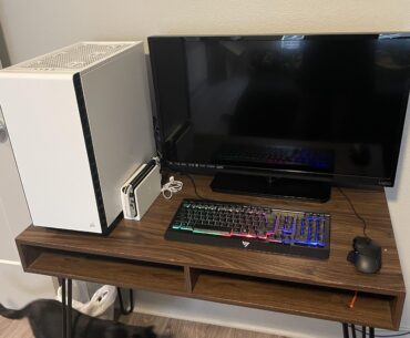 Finally built my own PC, with a smaller TV as a monitor. Hey, works for me! (featuring my cat)