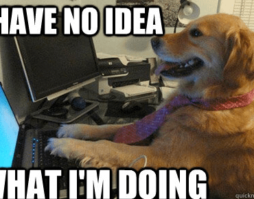 Me, continuing from a level 50 save