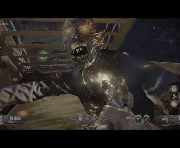 First time beating a bo4 Easter egg