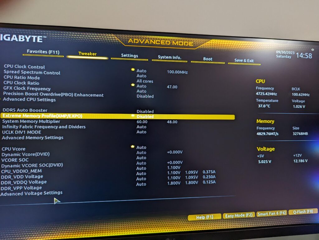 Can't find the voltage settings for my memory.