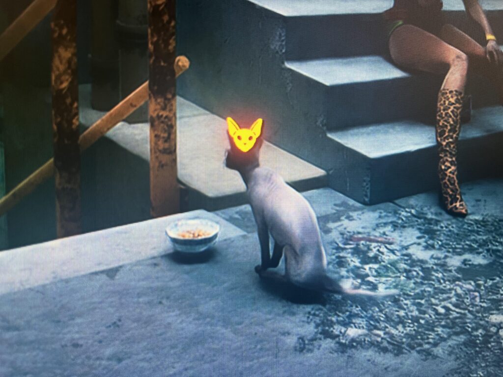 Aww, cats get a HUD icon now so you don’t forget to pet it