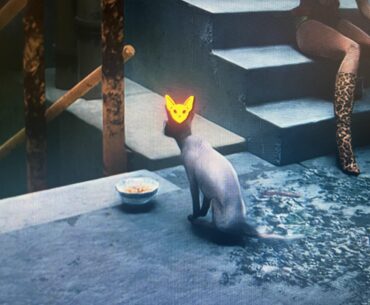 Aww, cats get a HUD icon now so you don’t forget to pet it