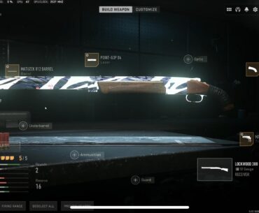 Can anyone…ANYONE.. tell me what camo this is and how to get it??
