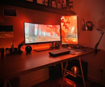 Autumn vibes