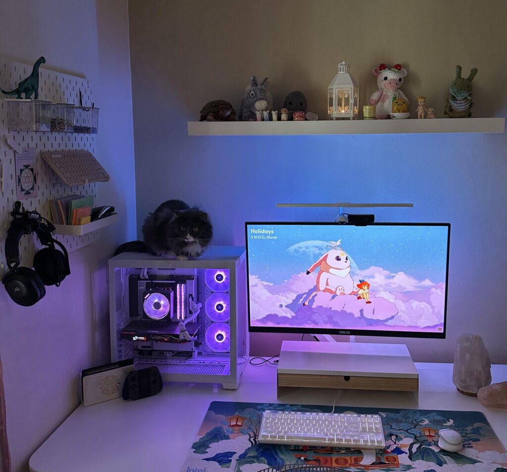 Updated Set Up