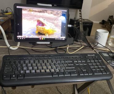 Yes, this is really my current set up.