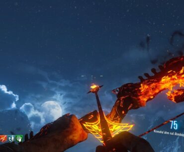 Can we take a moment to remember and appreciate the bow of der eisendrache?