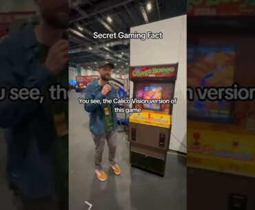 Have YOU played this rare retro arcade FPS game?