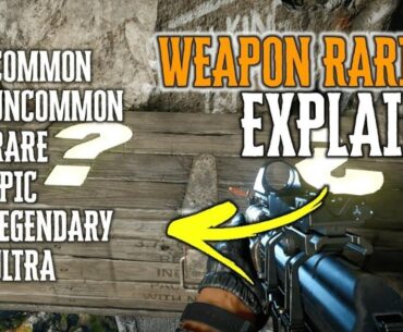 What's your opinion on weapon rarities in zombies?