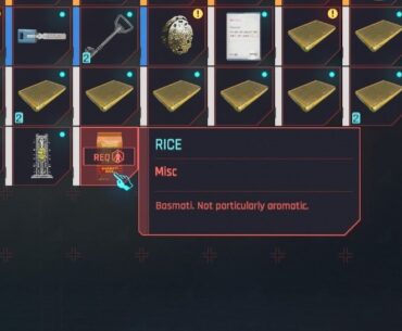 Apparently I don't have enough cyber capacity to install rice.