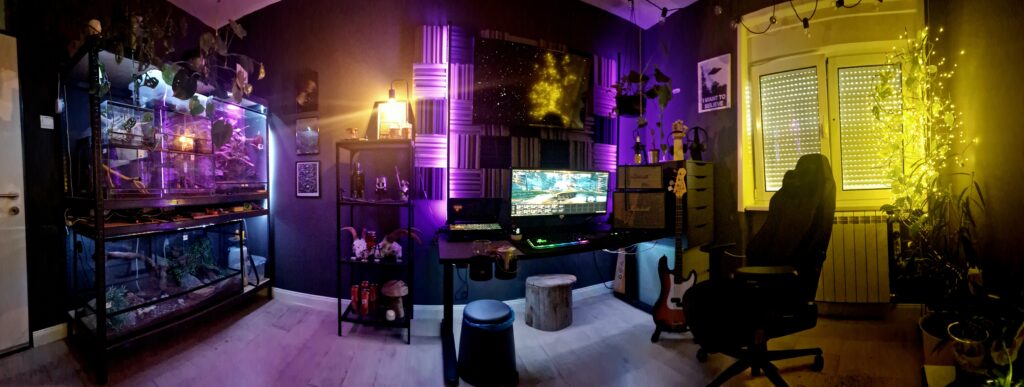 My Vivarium / Game room