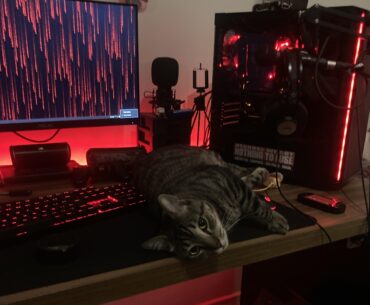 after a week working out of town, found this on my desk