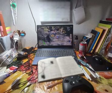 I'm so proud I finally got a computer good enough to run pikmin I want to share!!! How can I make it better?