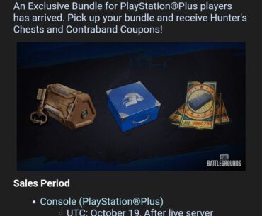 PS Plus Pubg Bundle #4