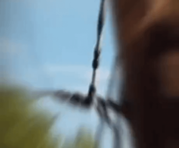 Parachuting from tower.