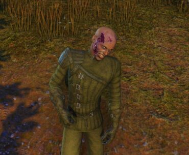 Recreated a Cod zombie in a MMORPG
