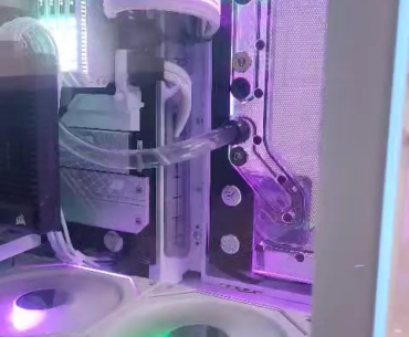 I can't believe I caught this on video, my PC ate a wasp!