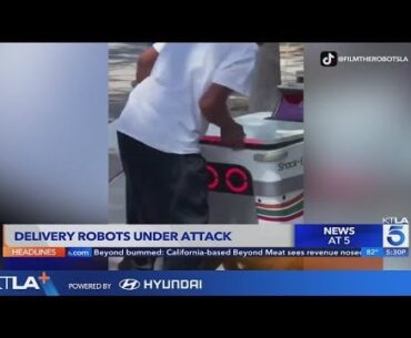Food delivery robots under attack from vandals, thieves