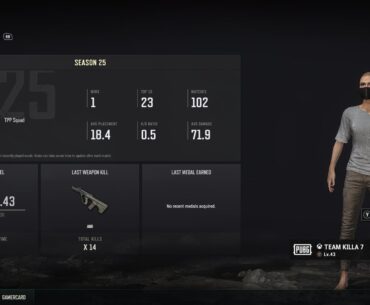 44 team kills in a hundred games and his name is team killa. What does it take to ban someone pubg?