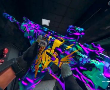 This is the best Free Camo in WZ history